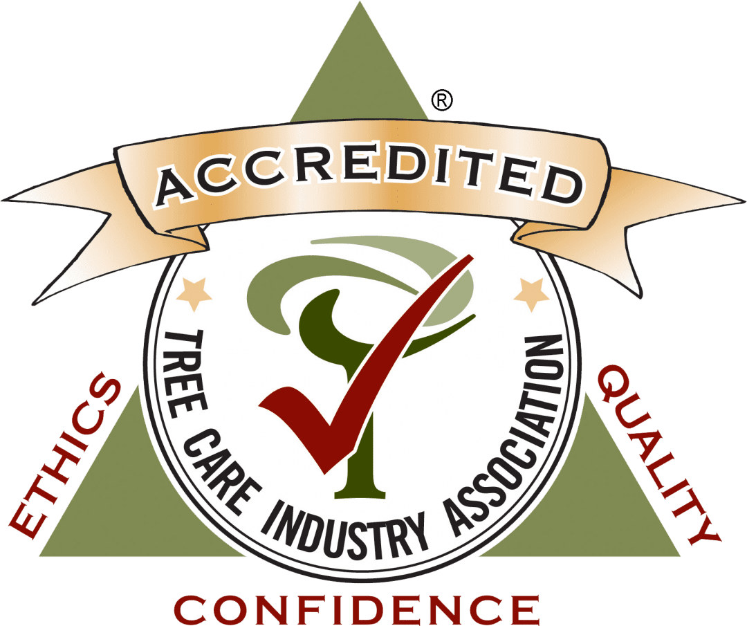 TCIA Accredited TCIA Accredited